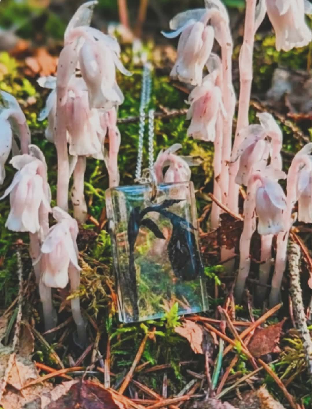 Ghost Pipe Necklace