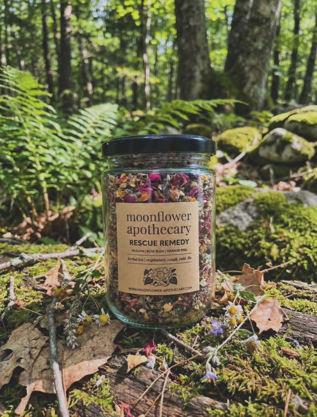 WHOLESALE | HERBAL TEA | 20 pk