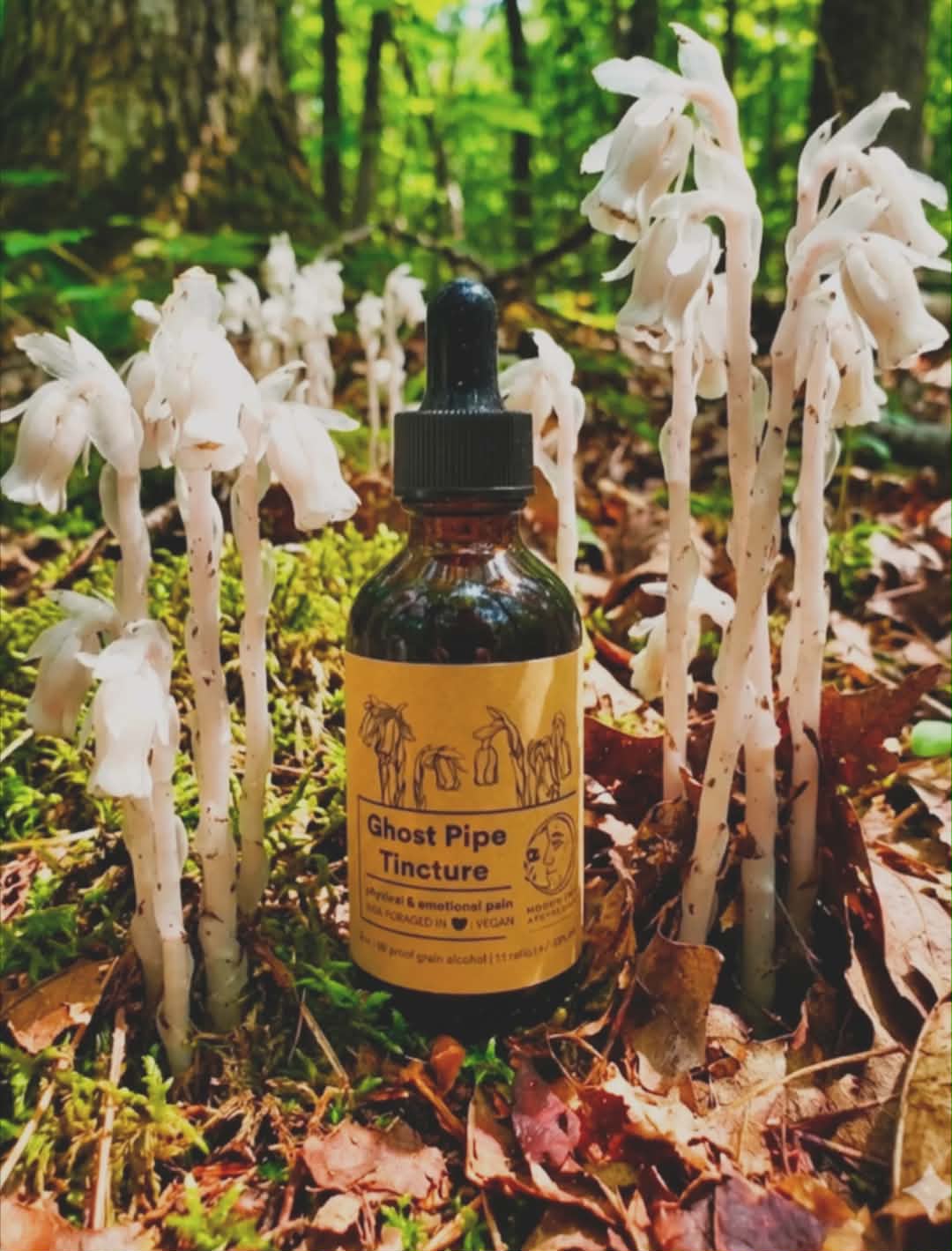 Ghost Pipe Tincture