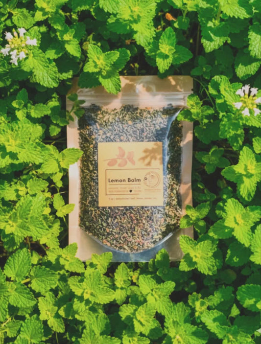 Lemon Balm