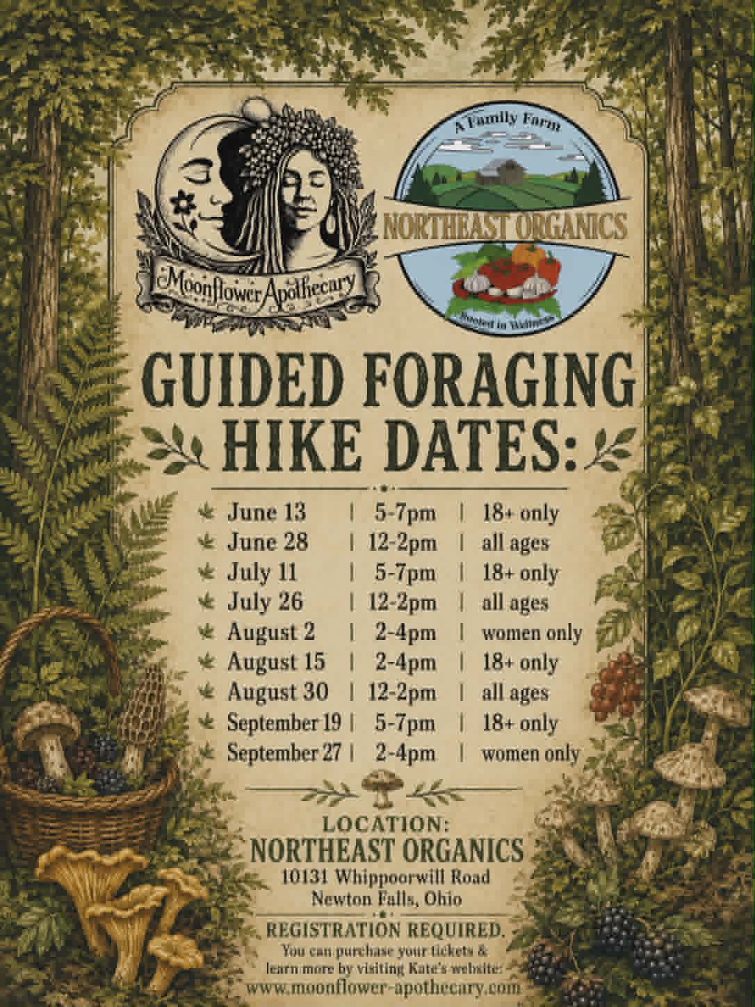 Guided Foraging Hike | July 11th