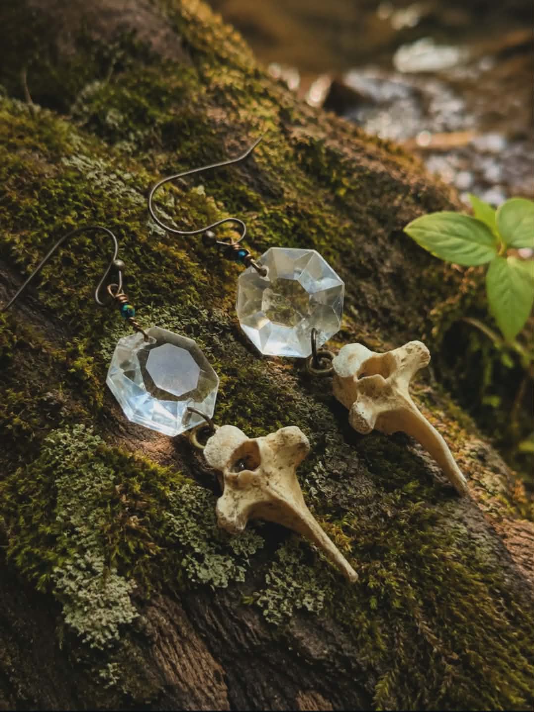 Vertebrae, Crystal & Copper Earrings #7