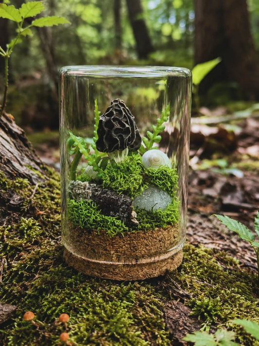 Mini Morel Terrarium #2