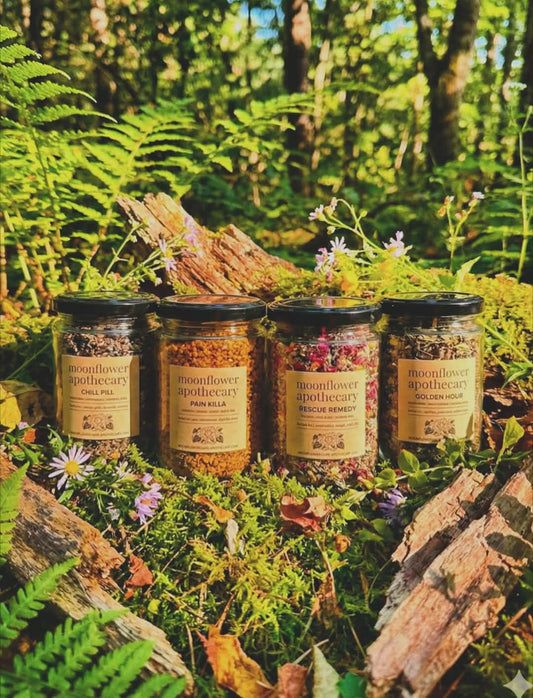 WHOLESALE | HERBAL TEA | 20 pk