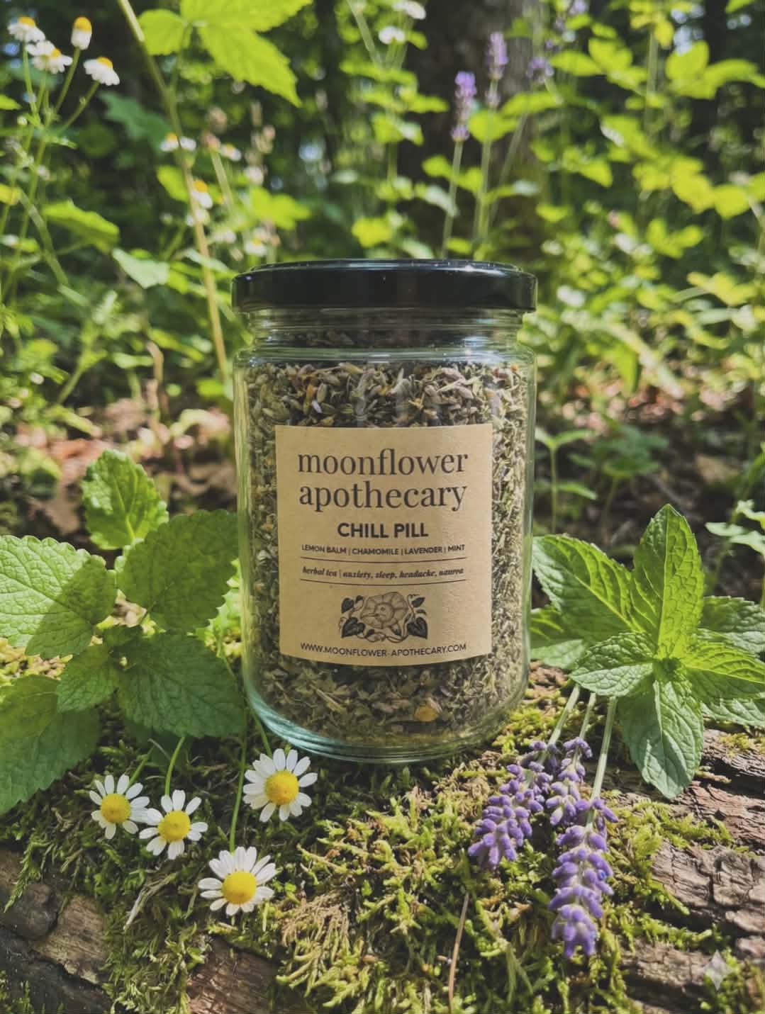 WHOLESALE | HERBAL TEA | 20 pk