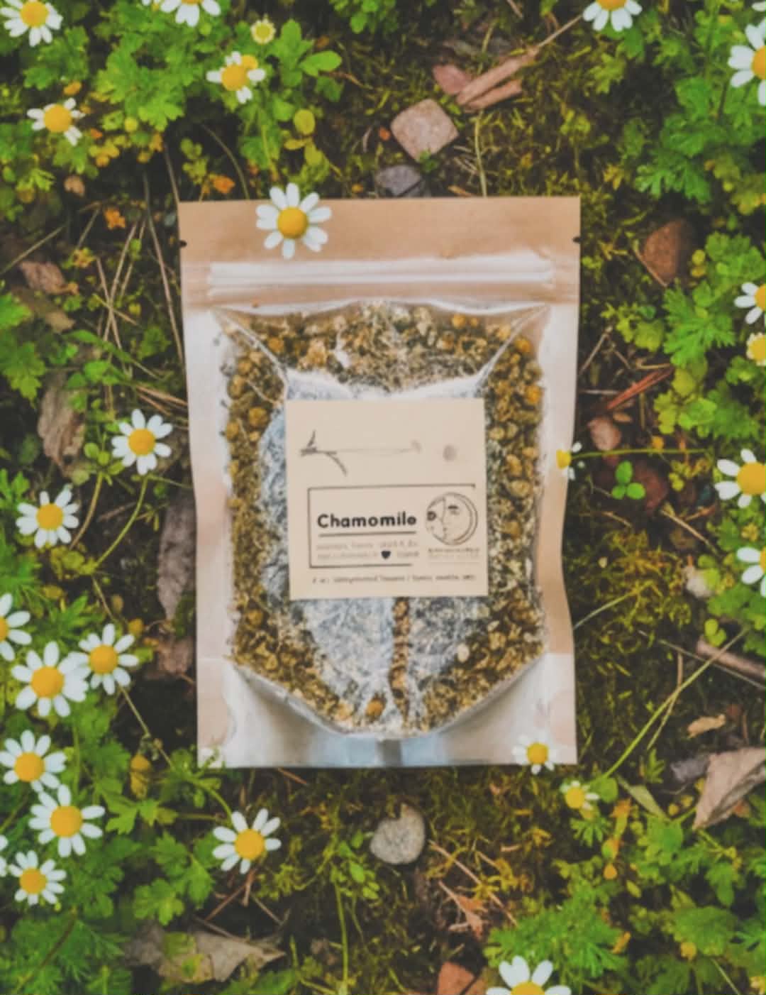 Chamomile