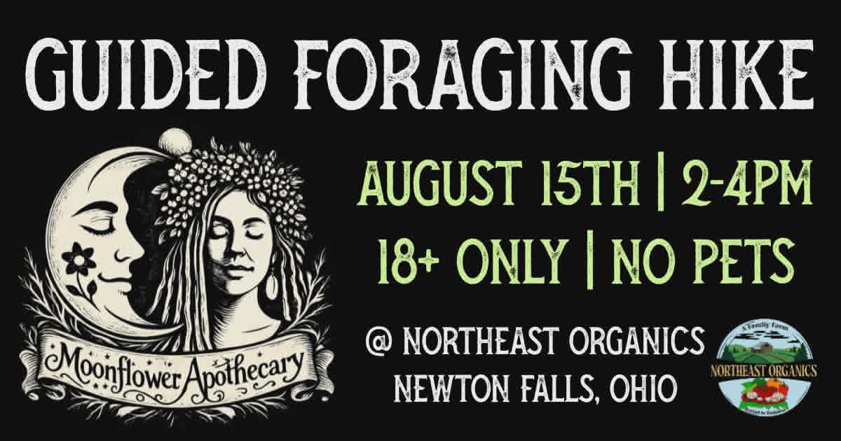 Guided Foraging Hike | August 30th
