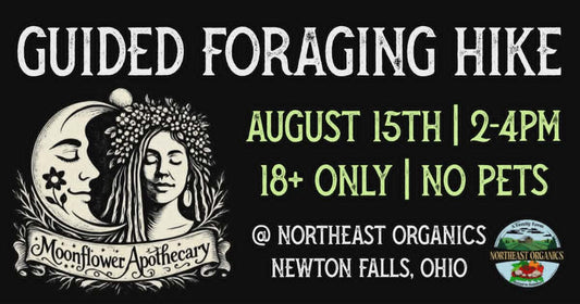 Guided Foraging Hike | August 30th