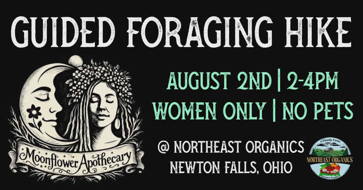 Guided Foraging Hike | August 2nd