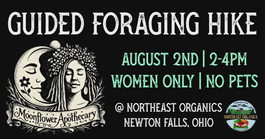 Guided Foraging Hike | August 2nd