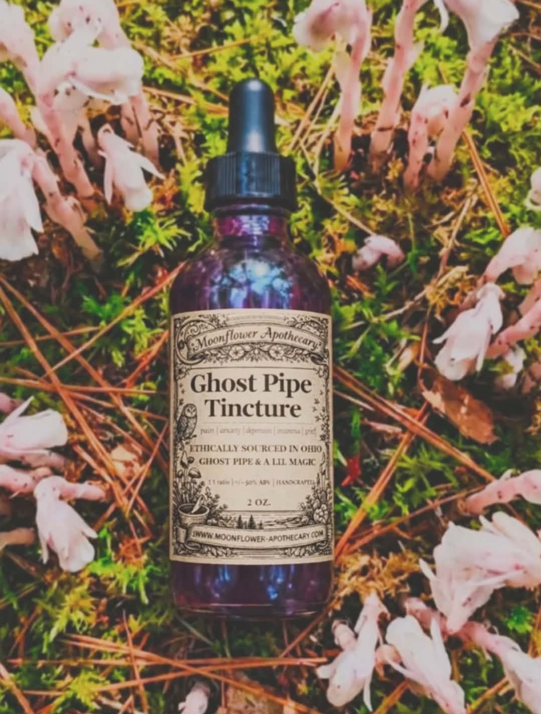 Ghost Pipe Tincture