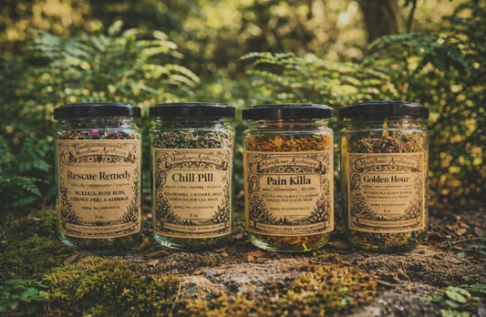 WHOLESALE | HERBAL TEA | 20 pk | 40 pk