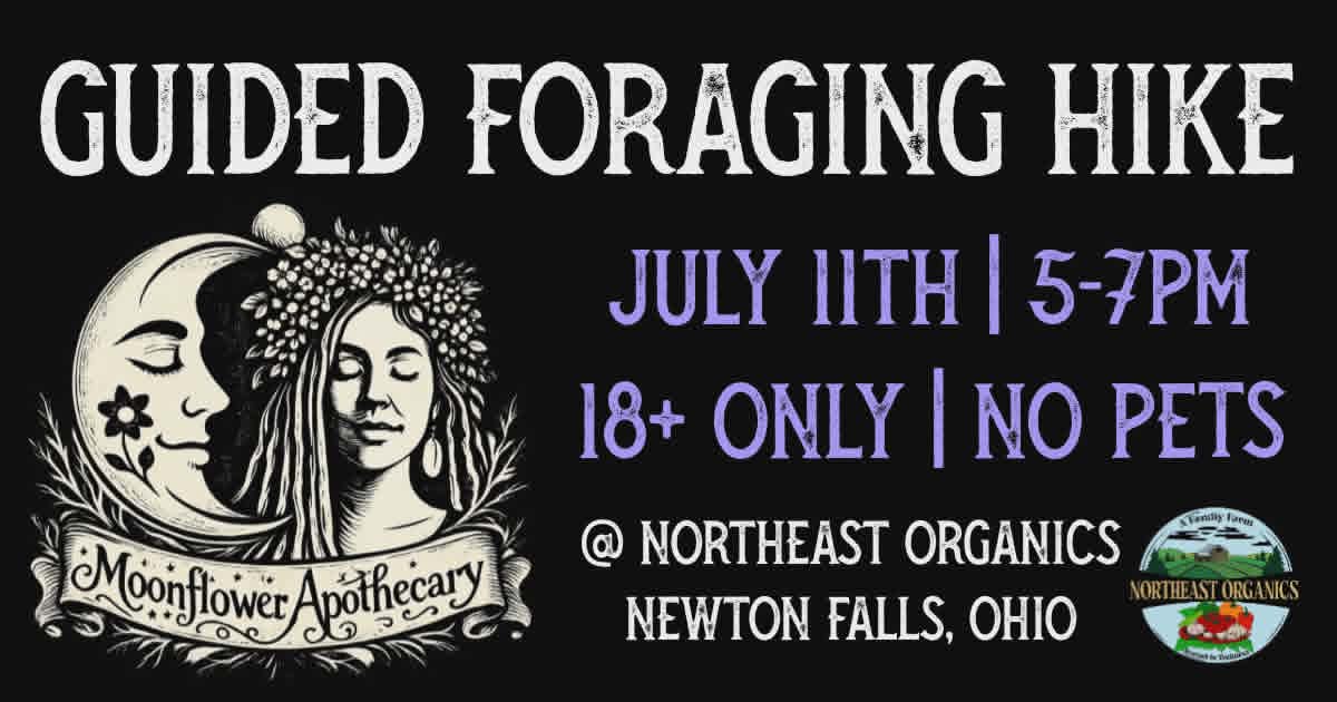 Guided Foraging Hike | July 11th