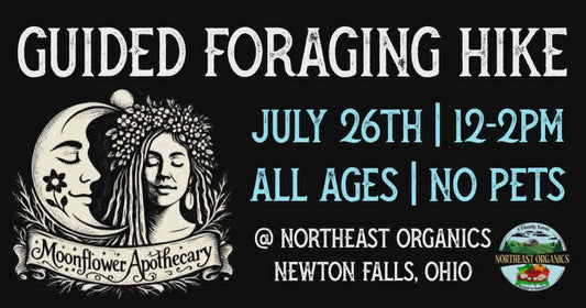 Guided Foraging Hike | July 26th