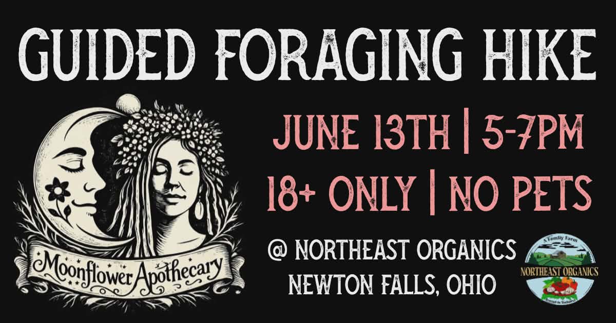 Guided Foraging Hike | June 13th