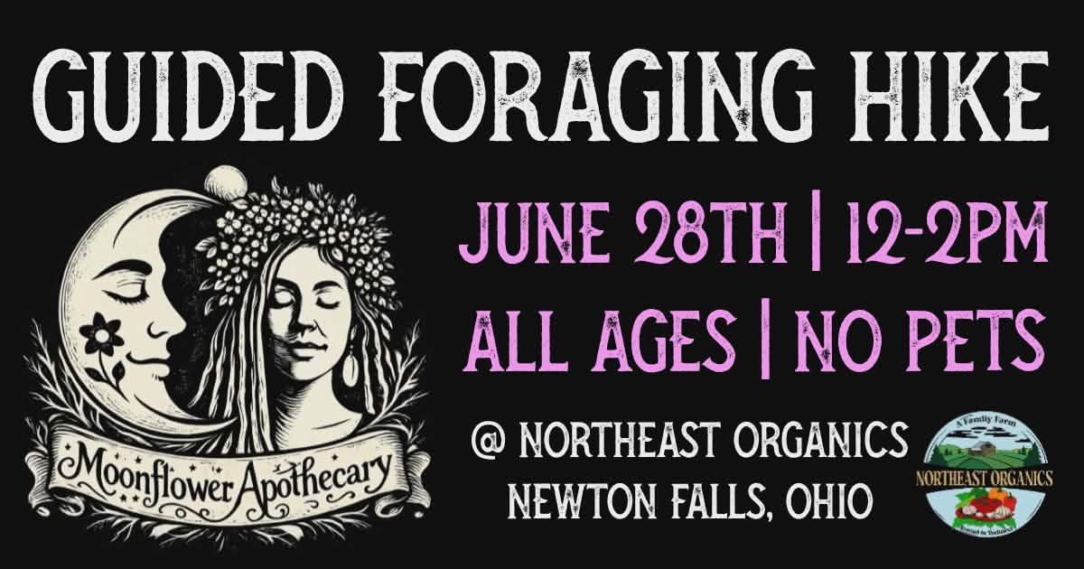Guided Foraging Hike | June 28th