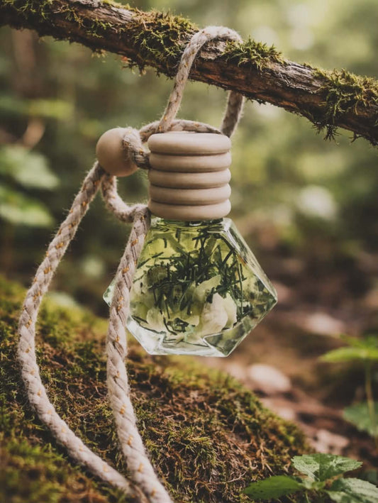 WHOLESALE | Air Freshener | Essential Oil Diffuser | 20 pk