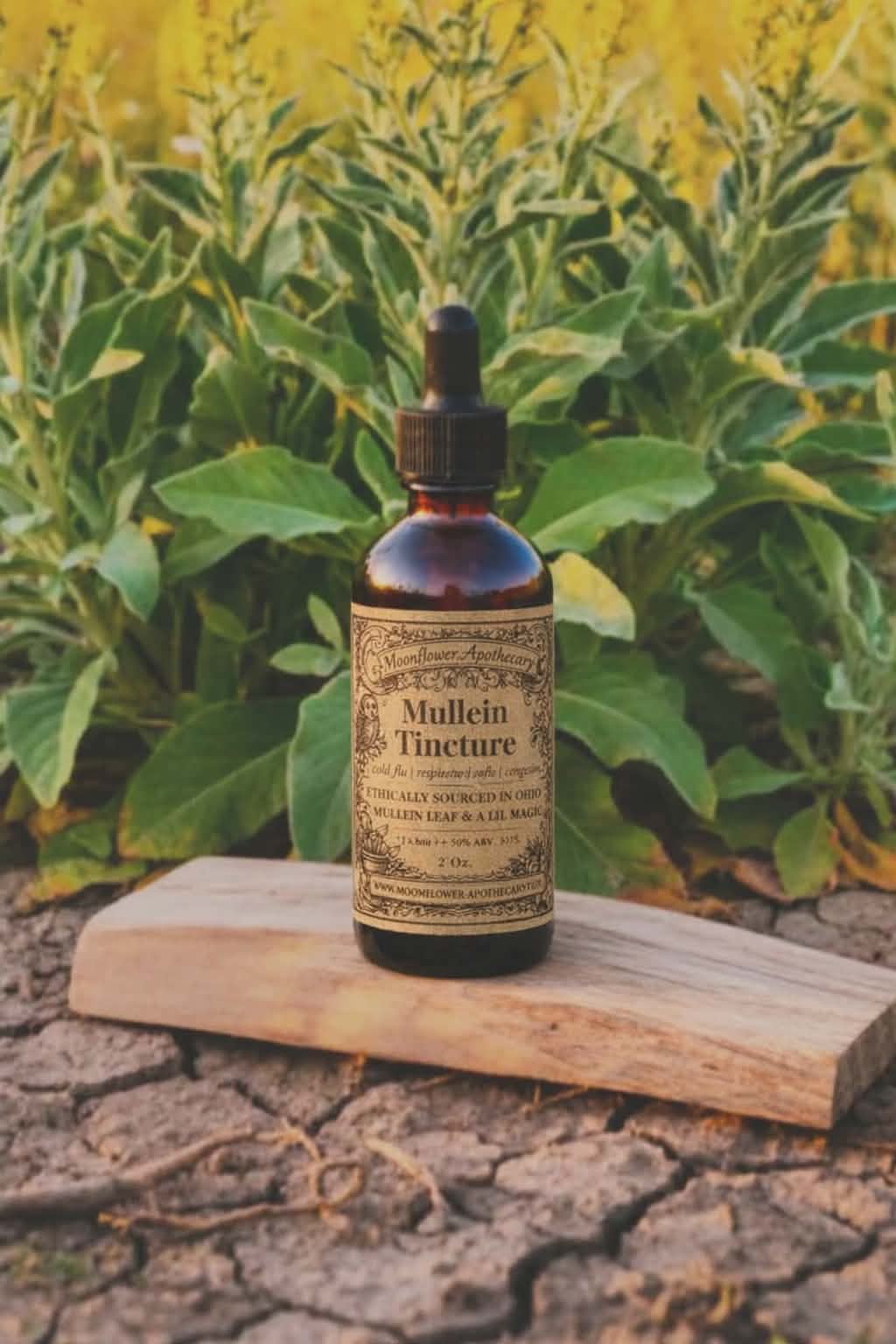 Mullein Tincture