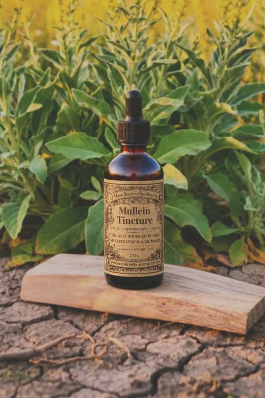 Mullein Tincture