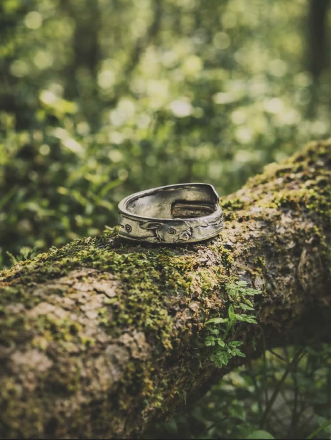 Spoon Rings