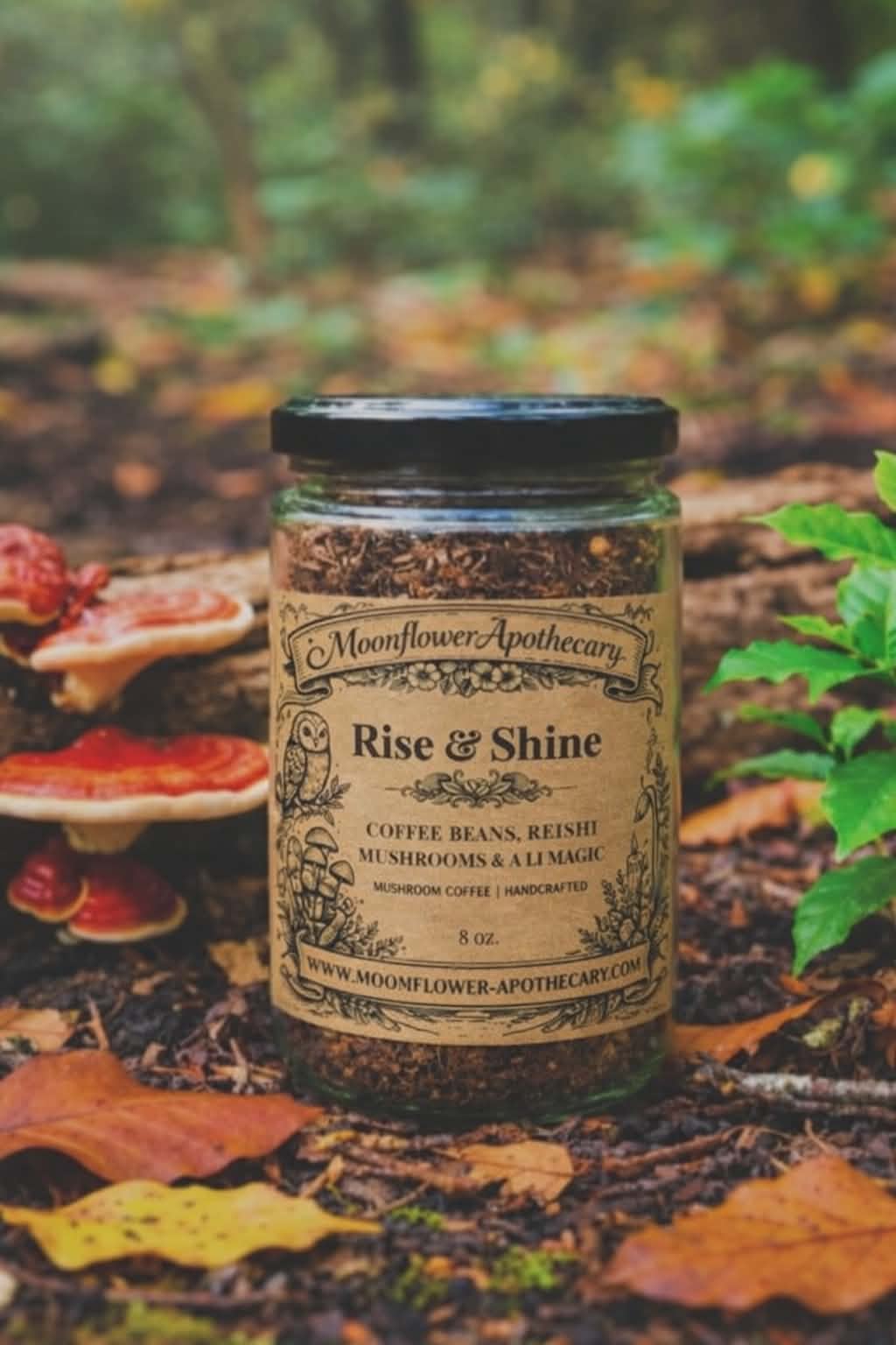 Rise & Shine | Mushroom Coffee