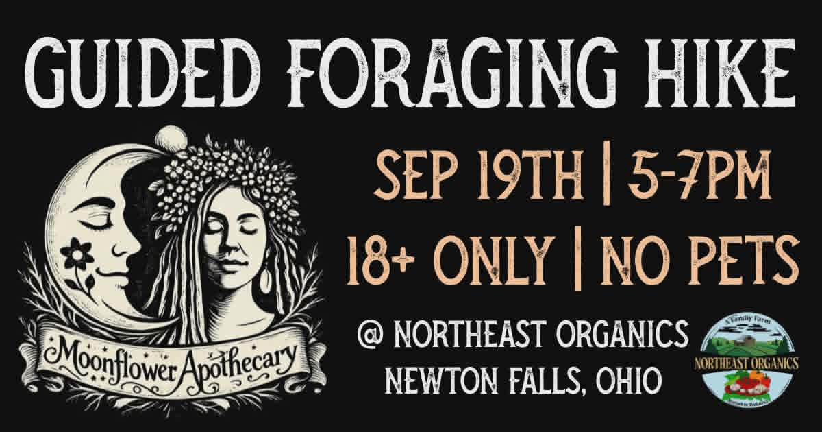 Guided Foraging Hike | September 19th