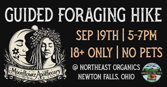 Guided Foraging Hike | September 19th