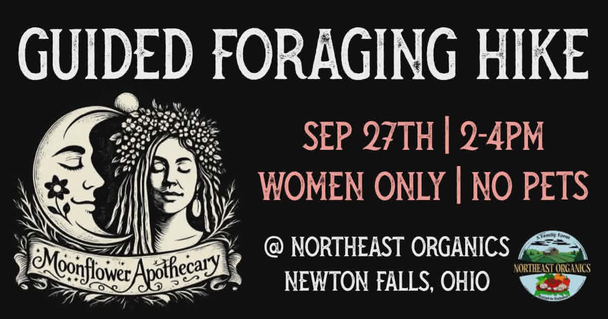 Guided Foraging Hike | September 27th