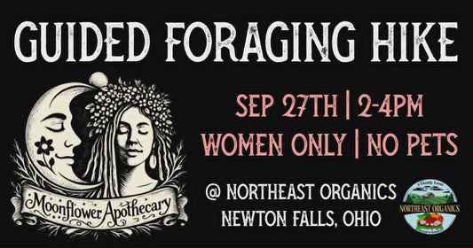 Guided Foraging Hike | September 27th