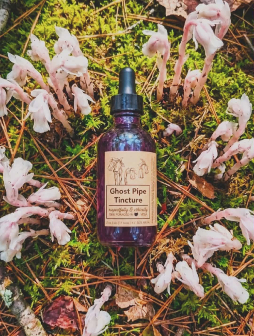 Ghost Pipe Tincture