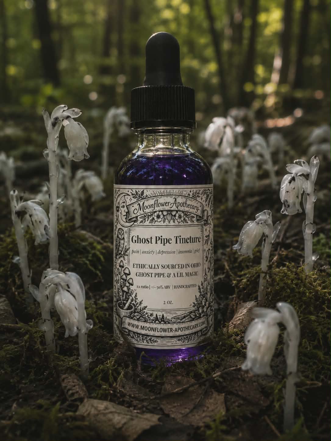 Ghost Pipe Tincture | PRE-ORDER