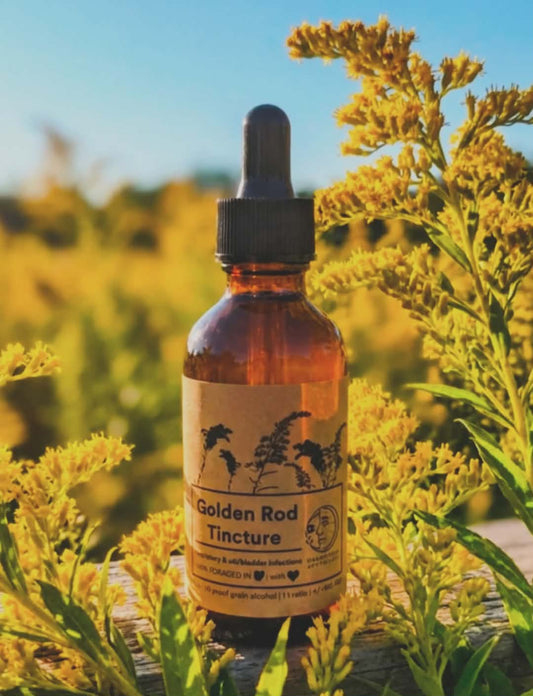 Goldenrod Tincture