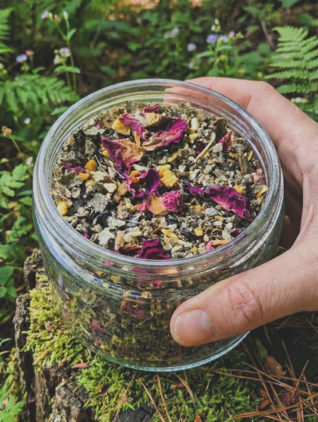 WHOLESALE | HERBAL TEA | 20 pk