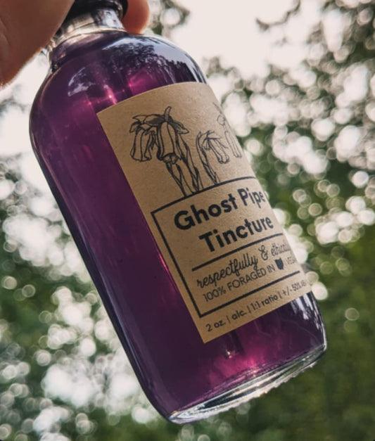 Ghost Pipe Tincture